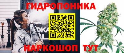 apvp Лесосибирск
