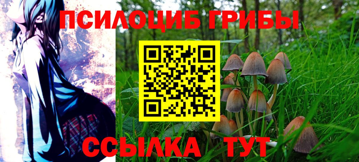 Псилоцибиновые грибы MAGIC MUSHROOMS Зима