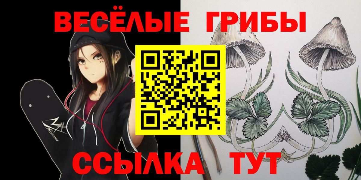 Зима  Галлюциногенные грибы мухоморы  Вход с VPN 